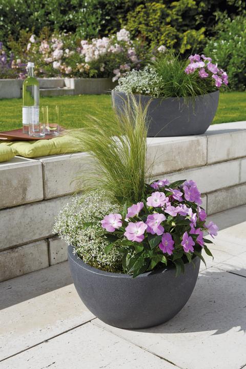 Immagine prodotto Scheurich ciotola Wave Globe (29.50 cm)