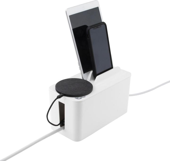 Actual product image BlueLounge Mini Station
