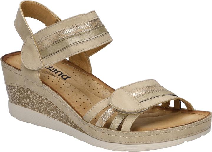 Westland 36603-82 (38)