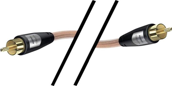 Actual product image Inakustik Star (10 m, Cinch)