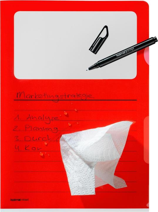 Actual product image Kolma VISA Dossier Script (A4, 10x)