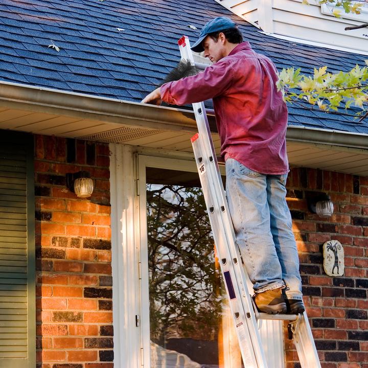 Produktbild Relaxdays 10x Dachrinnenbürste