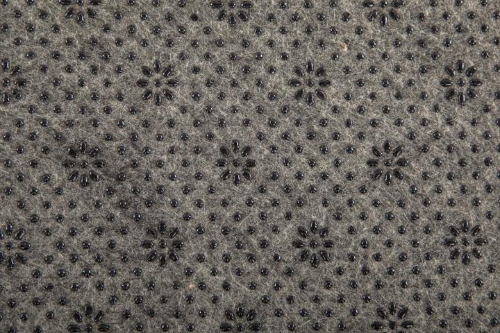 Image du produit Tiseco Sitzkissen (35 cm)