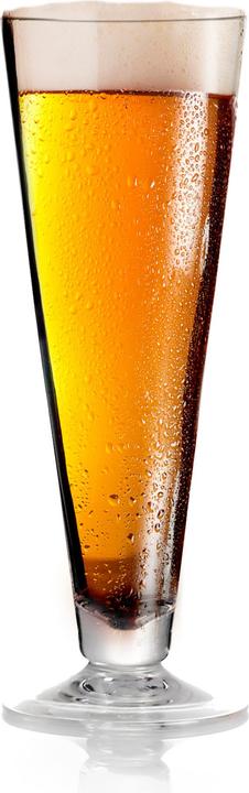 Image du produit Brunner Set Beerglass Pilsner (2 x)