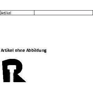 Reyher, Zubehör Befestigungstechnik, Federringe A5 DIN 127 Federstahl gal. Zn., 100 Stück 100