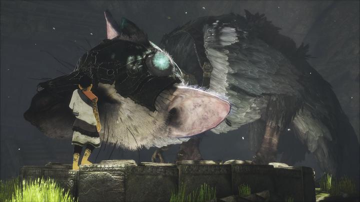 Image du produit Sony The Last Guardian (PS4, Multilingue)