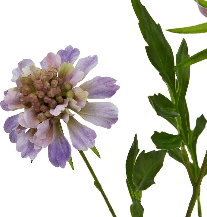 Immagine prodotto Hill Interiors The Natural Garden Collection Gambo di Scabiosa Pianta artificiale (65 cm)