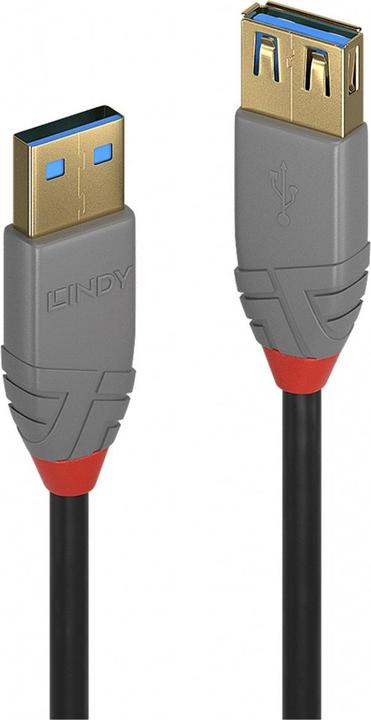 Actual product image Lindy USB/A-USB/A M-F (1 m, USB 3.0)