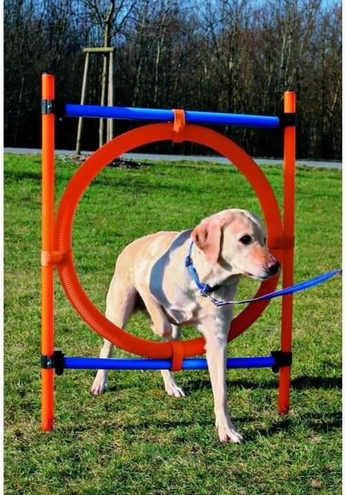 Produktbild Trixie Dog Activity Agility Ring (Agility)