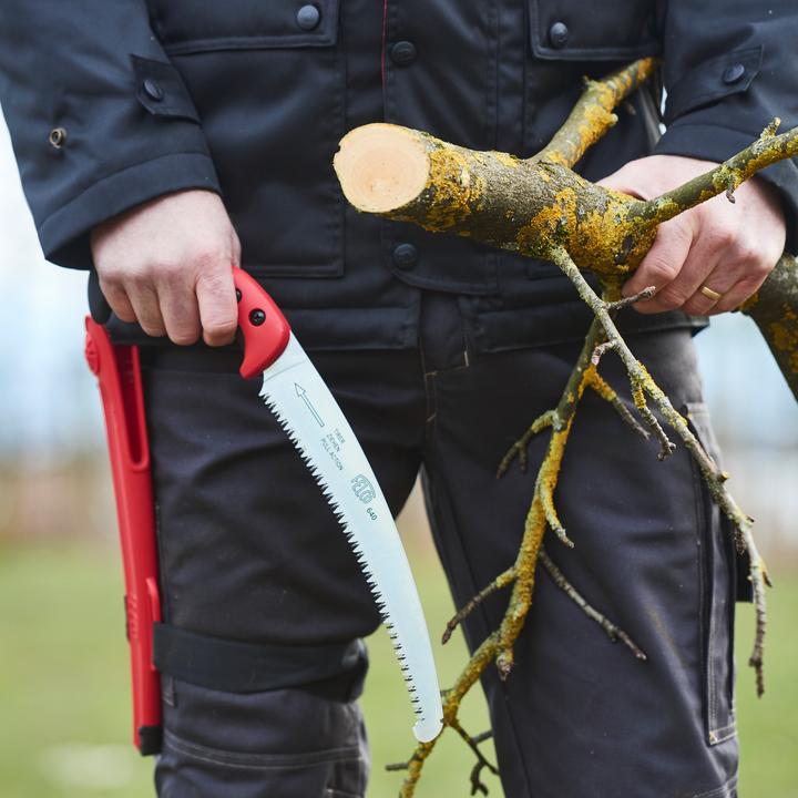 Image du produit Felco Scie à arbre 640