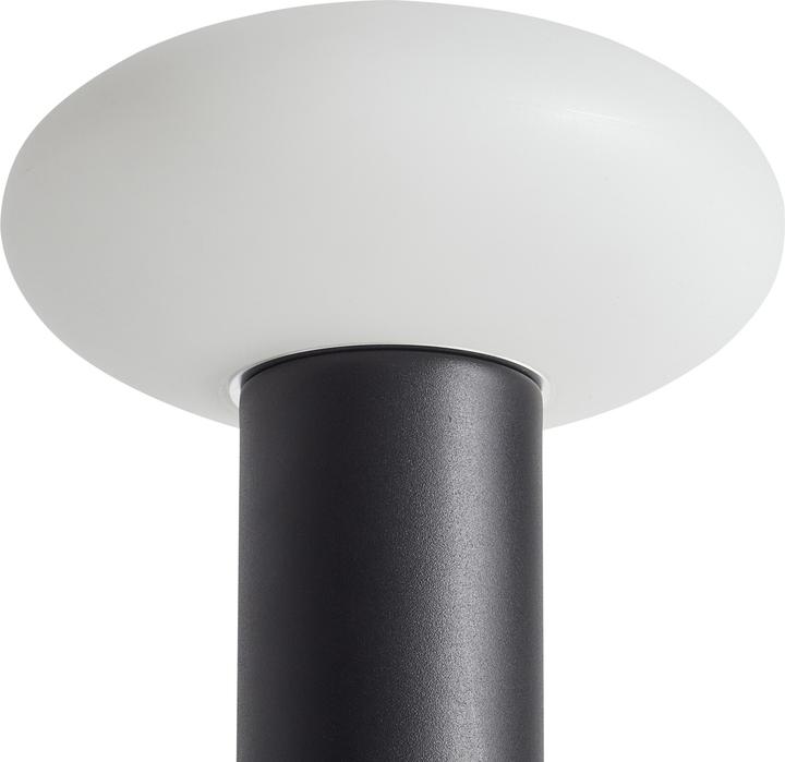 Image du produit Beliani Buayan (100 lm)