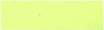 Productafbeelding Rembrandt OLIEVERF T9 207 (Cadmiumgeel citroen 207, 40 ml)
