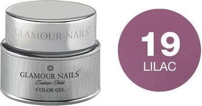 Actual product image VIP Glamour Color Gel 19 5ml