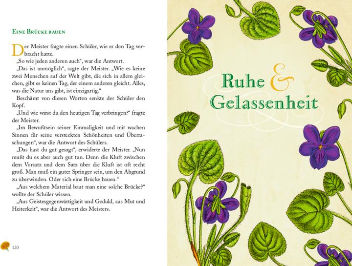 Image du produit Leben im Einklang (Allemand, Hans Kruppa, 2021)