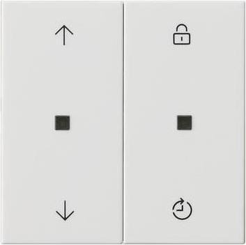 Numéro RAL (similaire) :9010