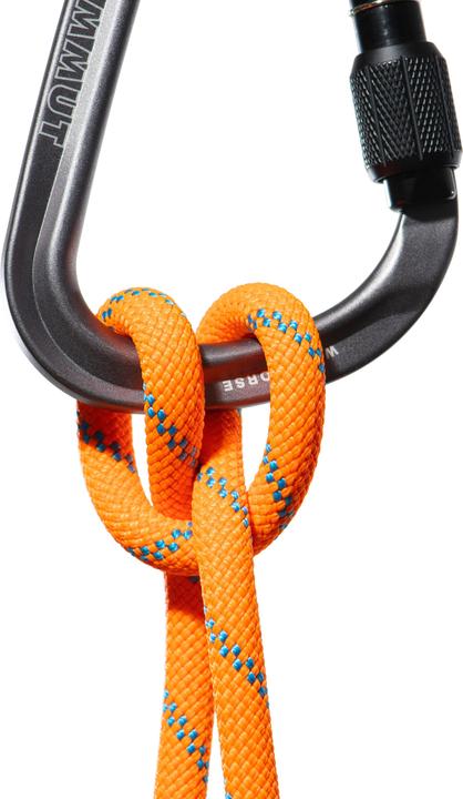 Produktbild Mammut 8.7 Alpine Sender Dry Rope (50 m)