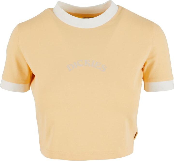 Immagine prodotto Dickies Maglietta Warm Springs - 125477 (S)