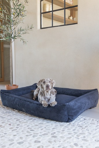 Immagine prodotto Designed by Lotte Liegebett Ribbed (Cane)