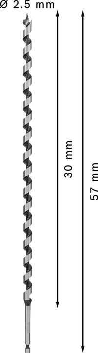 Actual product image Bosch Professional Zubehör PRO Wood Wood auger bit, 12 x 385 x 450 mm (6.35 mm)