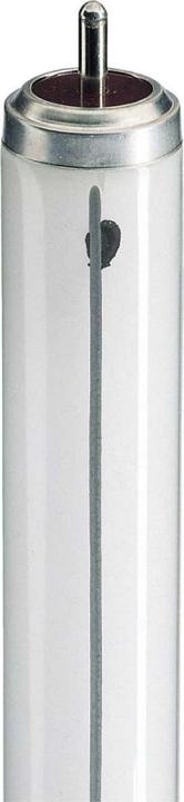 Image du produit Philips Lampe fluorescente (20 W, 940 lm, 1 x, B)