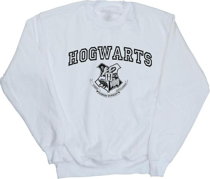 Actual product image Mens Hogwarts Crest Sweatshirt (L)