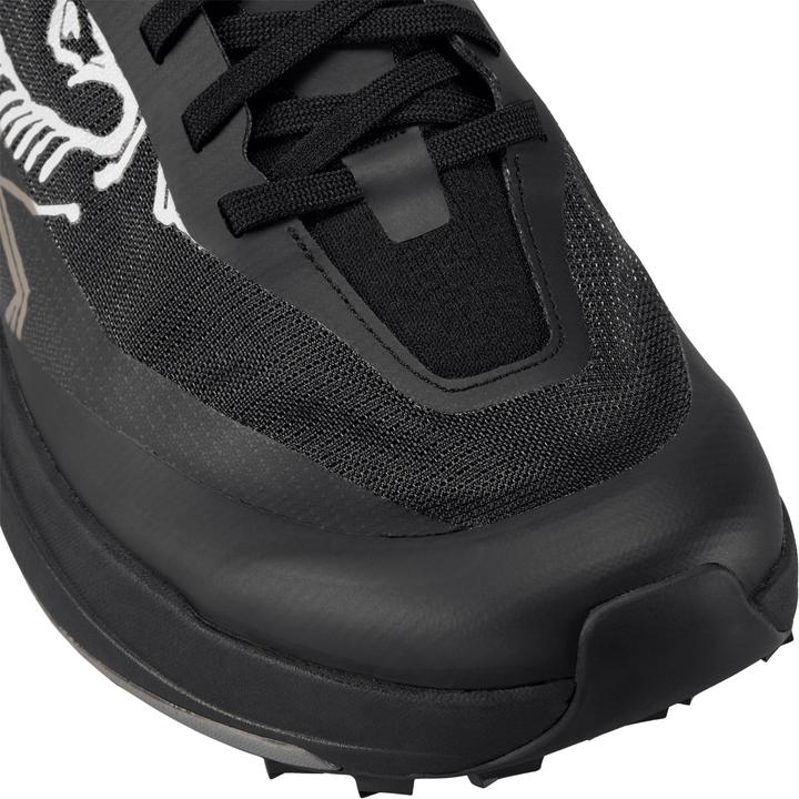 Actual product image Arc'teryx Sylan Pro (42)