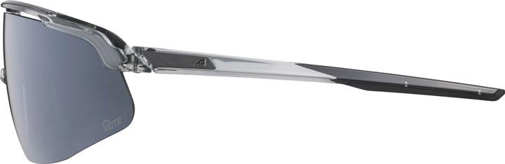 Actual product image Alpina Turbo Pro Q-Lite (Dark Grey Transparent, Silver)