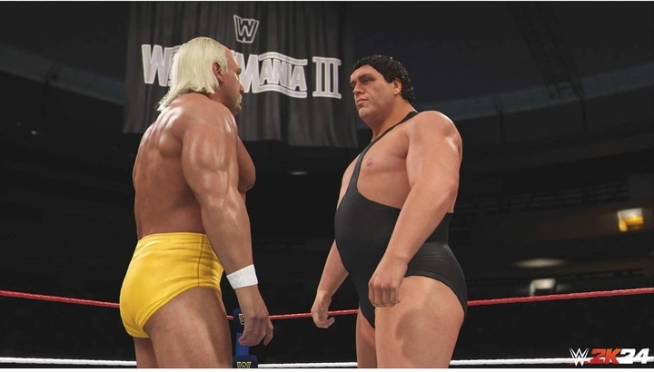 Immagine prodotto 2K Games WWE 2k24 PS-4 AT (PS4, DE)