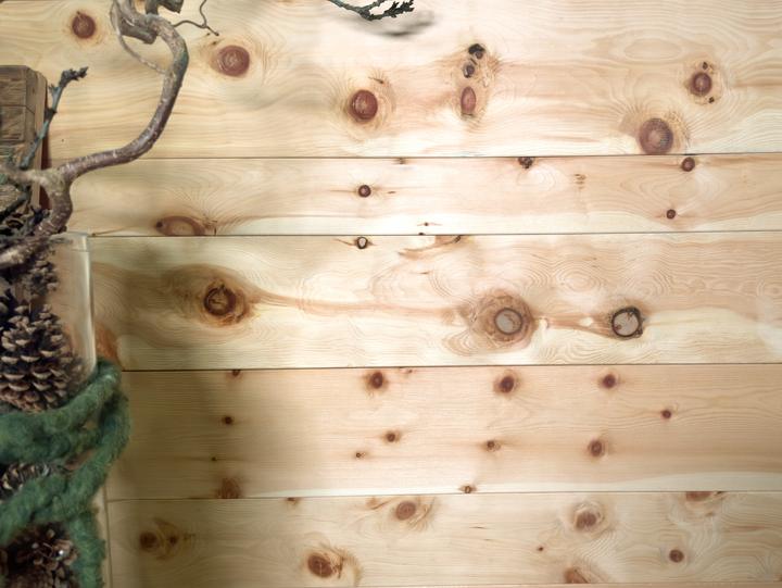 Produktbild Möbel-Eins Nut-