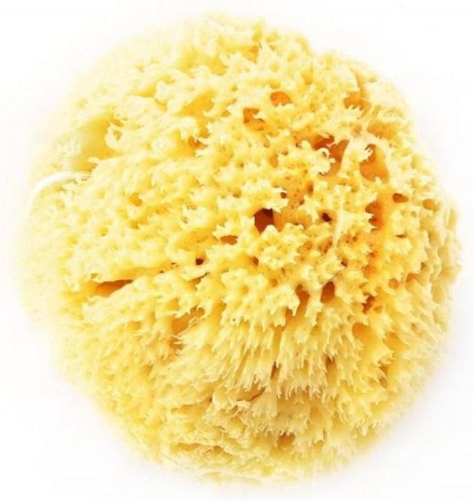Herba Natural sponge