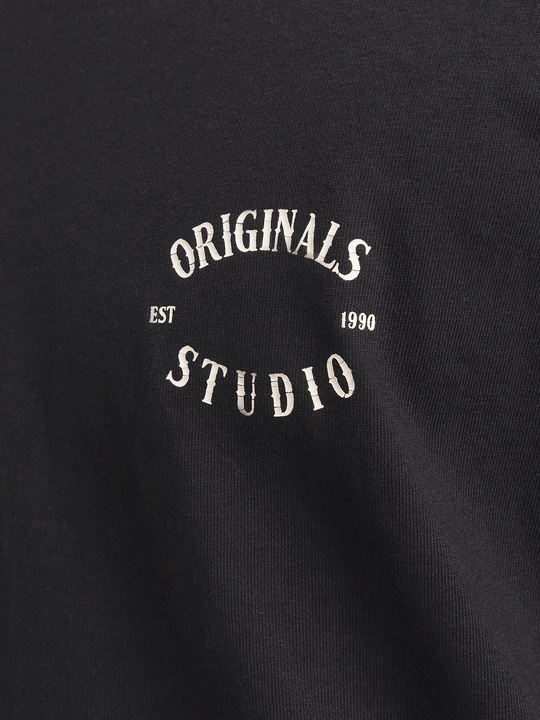 Produktbild Jack & Jones Joraustin Font Tee Ss C.N Styd Aw24 (M)