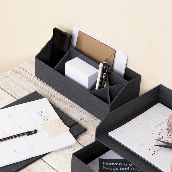 Produktbild Bigso ELISA Canvas