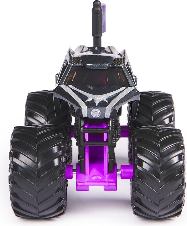 Actual product image Spin Master Monster Jam