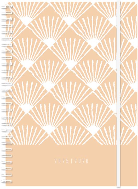 Image du produit Simplex Schüleragenda Joy Plus 26/27 500425.27 1W/2S 17M grün ML 14.8x21cm (1 semaine / 2 pages)