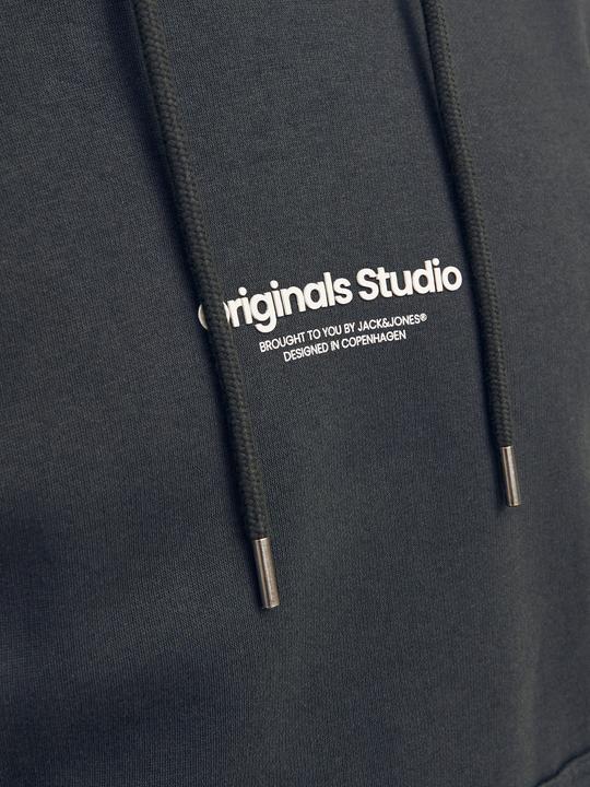 Image du produit Jack & Jones Imprimé Sweat à capuche Sweat à capuche (L)