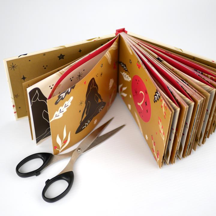 Actual product image 24 Meditations for Advent