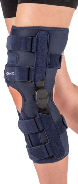 Produktbild Gibaud Genugib ROM