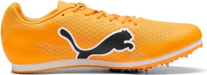 Produktbild Puma evoSPEED Star 9 (39)