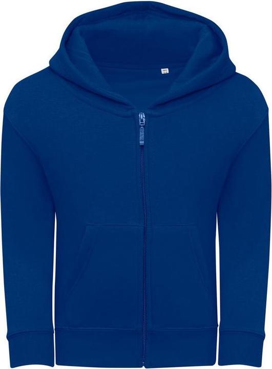 Bleu roi
