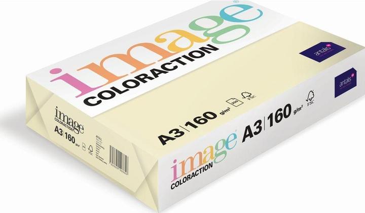 Image du produit Image Papier à copier Atoll A3 (A3, 250 feuilles, 120 g/m²)