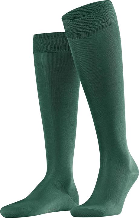 7441 hunter green