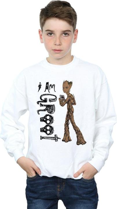 Produktbild Avengers Infinity War I Am Teenage Groot Sweatshirt Jungen (116)