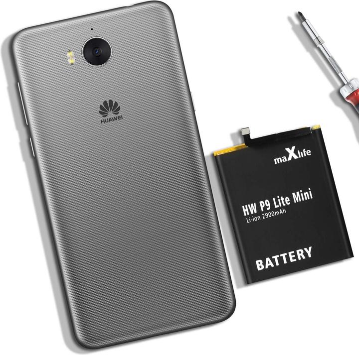 Actual product image Maxlife 2900mAh auxiliary battery