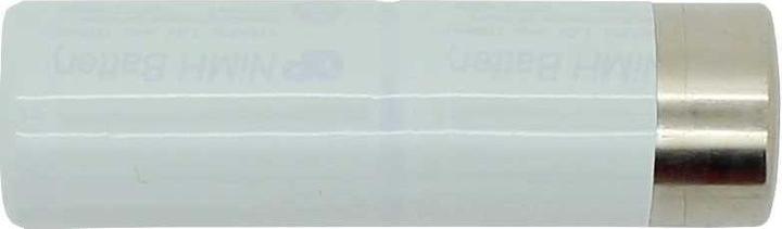 Actual product image AccuCell AkkuNiMH L1x2 GP110AFH für Rowenta Dentasonic (1100 mAh)