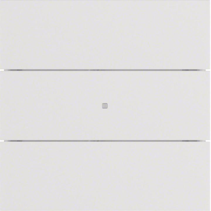 Actual product image Berker Push-button 3gang comfort 75163599