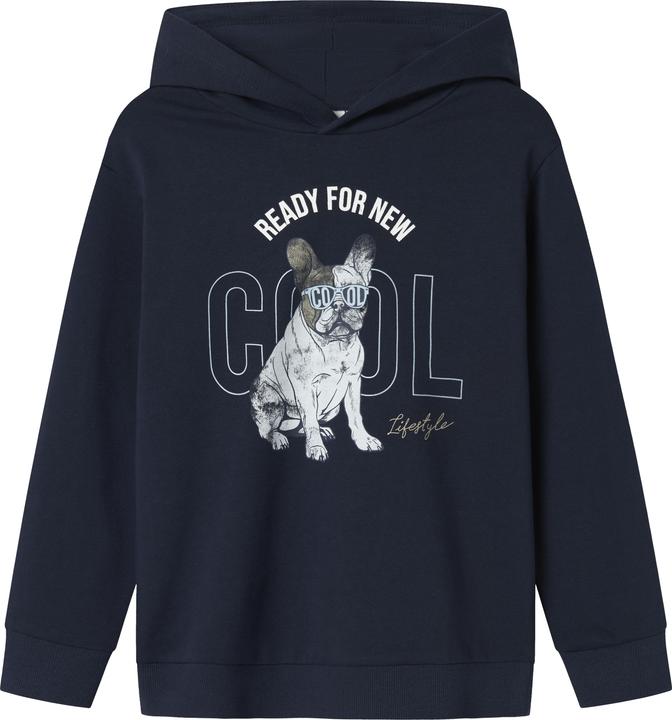 Produktbild Name it Regular Fit Hoodie (146)