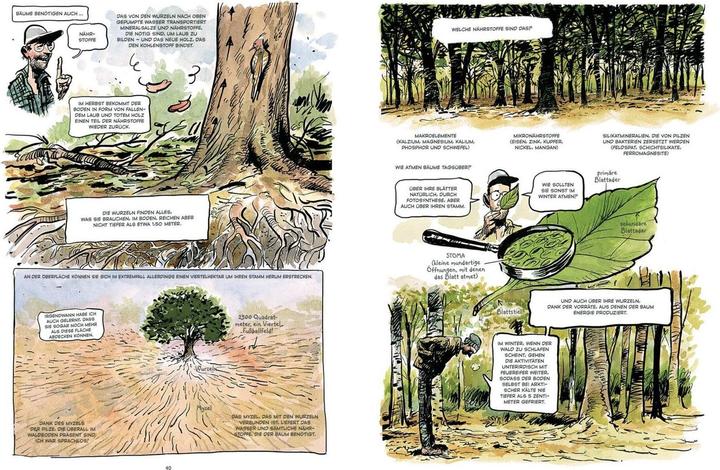 Actual product image Das geheime Leben der Bäume (German, Peter Wohlleben, 2023)