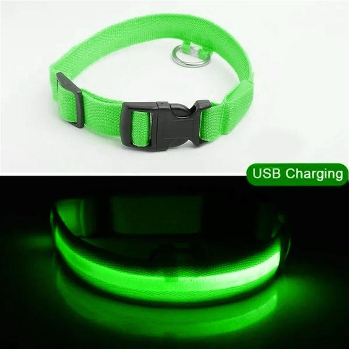 Image du produit Cbx Collier de chien à LED rechargeable taille M - 40-46cm (M, Chien)