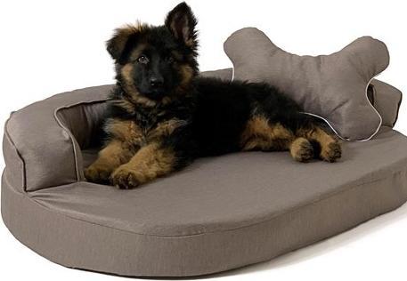 Image du produit Go Gift GoGift Ovale Canapé pour animaux domestiques marron 100 x 65 x 10 cm (Chat, Chien)