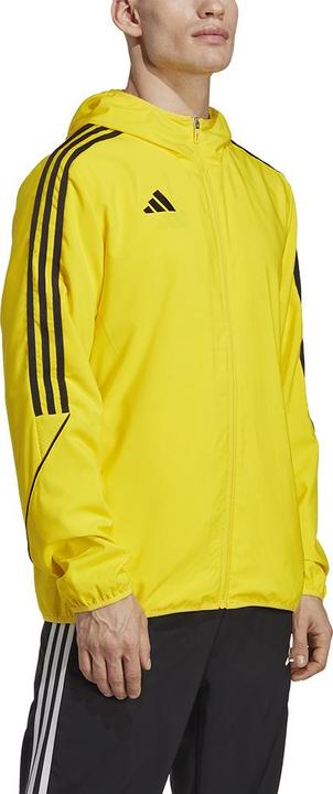 Actual product image adidas Tiro 23 League Windbreaker Men (M)